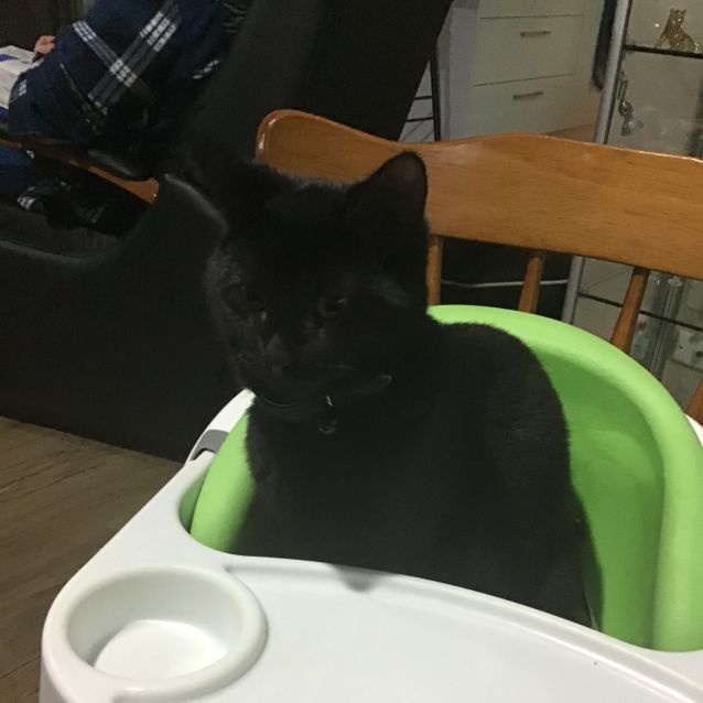 Photo of Jeffrey