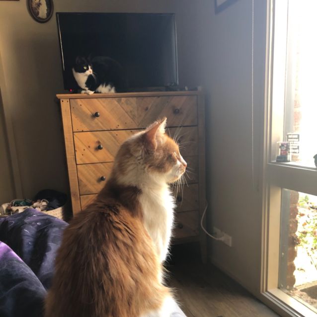 Photo of Meggsie
