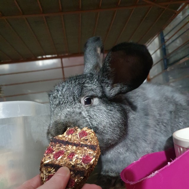 Photo of Sophie, Sasha & Stasia