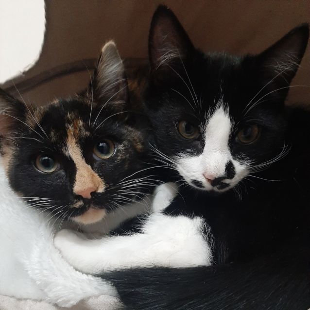 Photo of Lucy (With Linus)