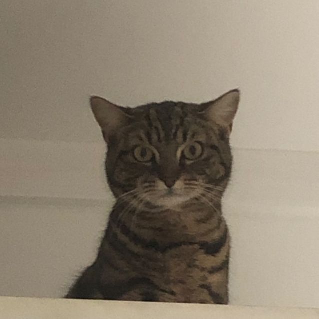 Photo of Charlie