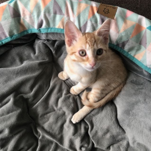 Photo of Fred