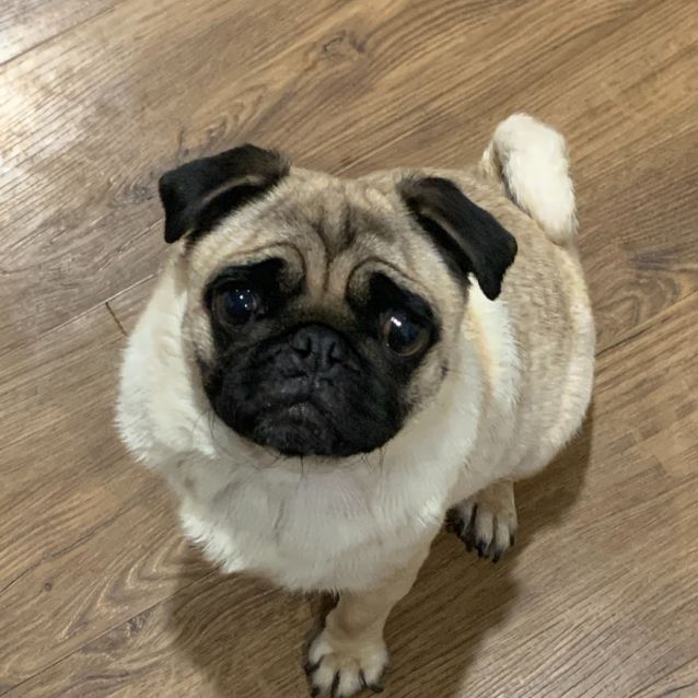 Photo of Gorgeous Honey 🍯