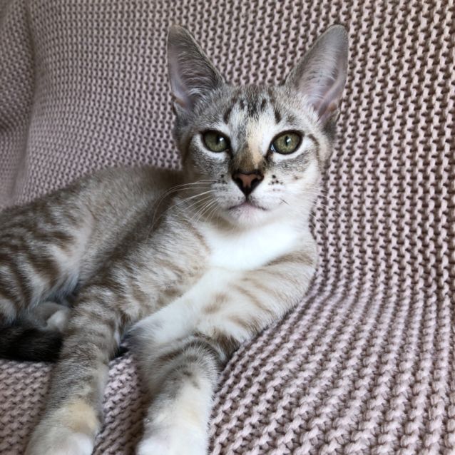 Photo of Meredith