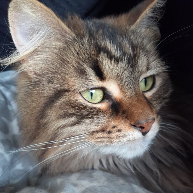 Photo of Jojo