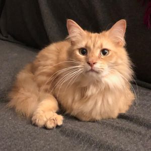 No photo for Marco (Located In Bentleigh)