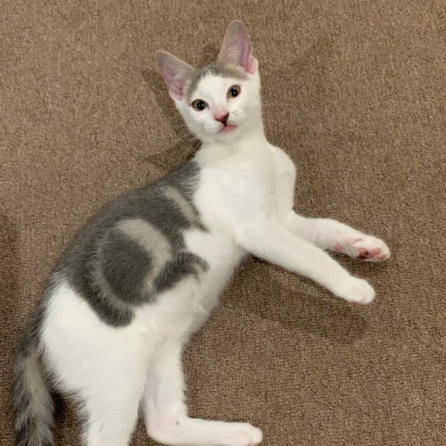 Eli ❤️