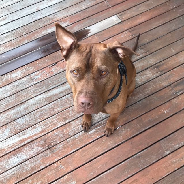 Photo of Yoko Dl2540