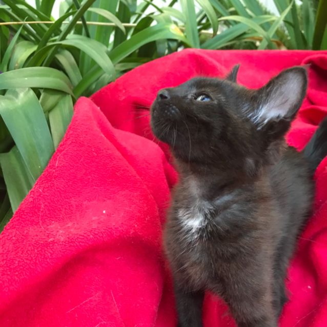 Photo of Levi 💙😻