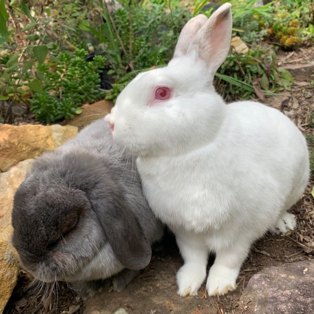 Photo of Elodie & Fergus