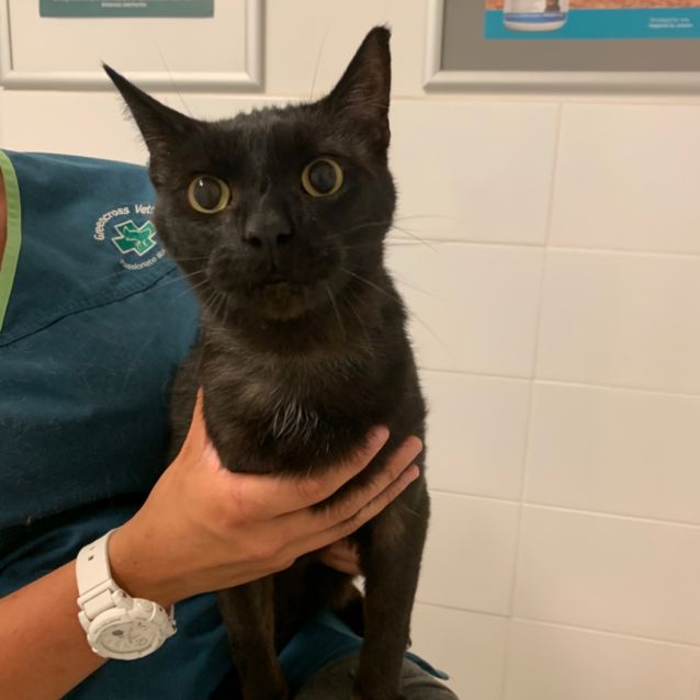 Photo of Alfie & Luigi