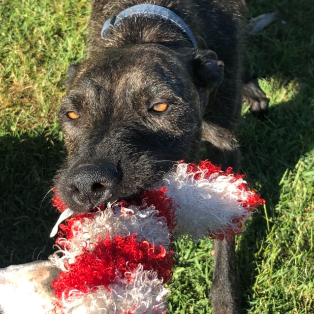 Photo of Bonnie
