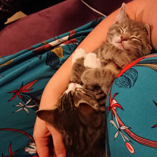 Photo of Little Ernie