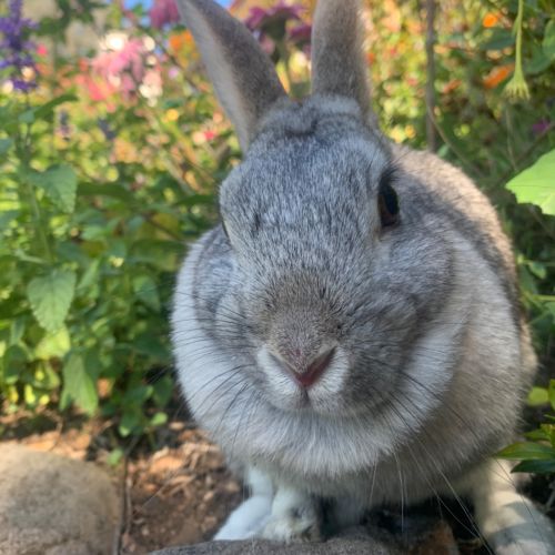 Jessica 