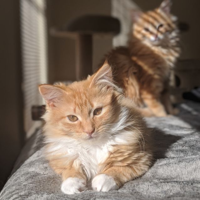 Photo of Emma And Isla