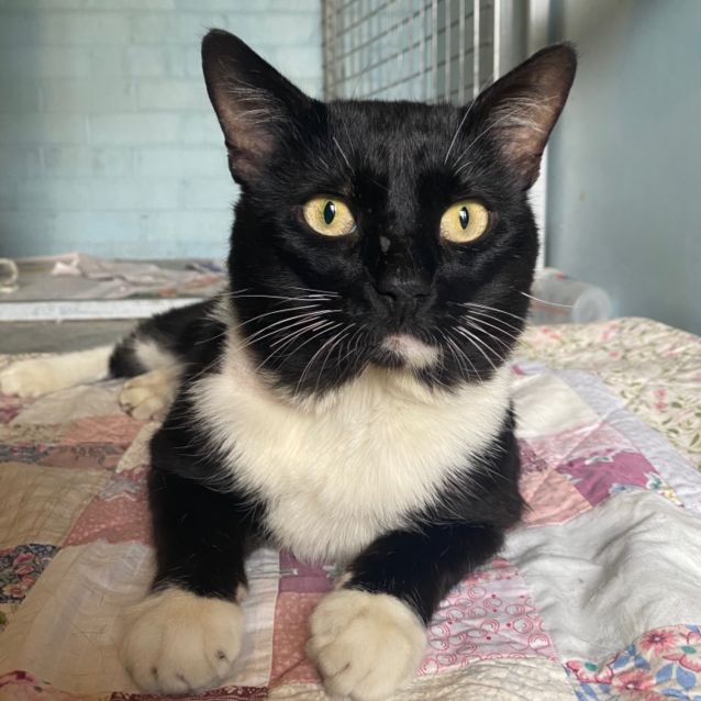 Photo of Mr Percival