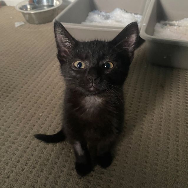 Photo of Bonnie