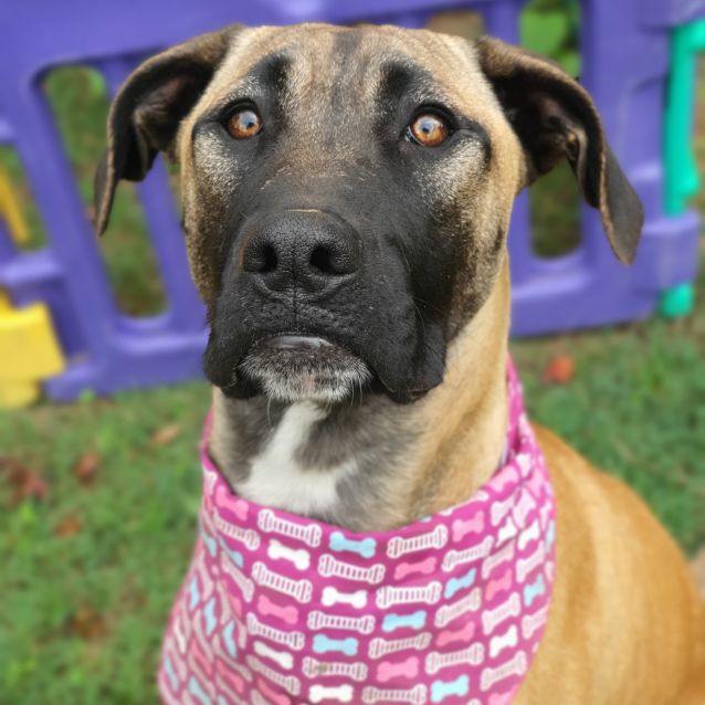 Photo of Sophie