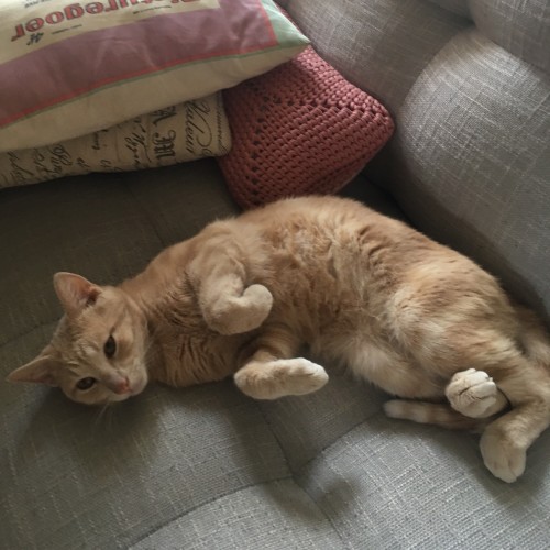 Ernie