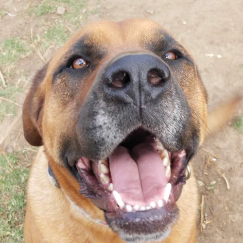 ♥ Harry ♥ ~ Hunk of Love