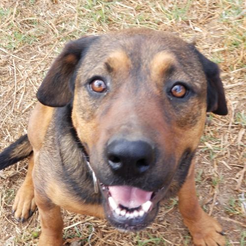 ♥ Megan ♥ ~ Play and Love