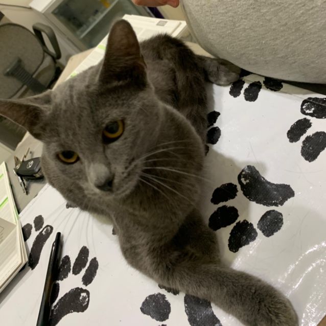 Photo of Silver