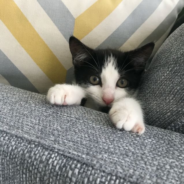 Photo of Tina