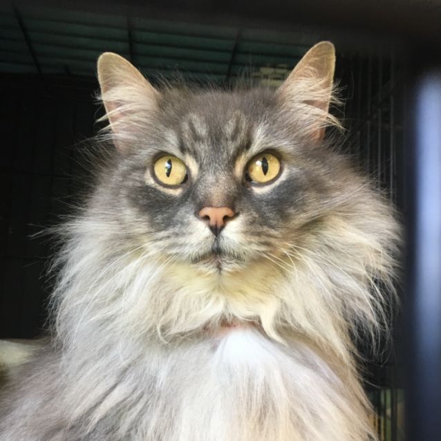 Photo of Baby And The Kid