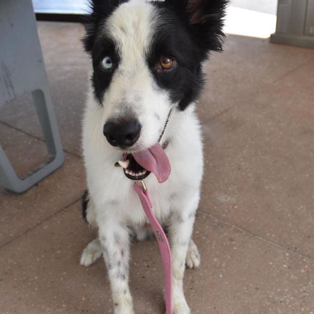Photo of Rocket