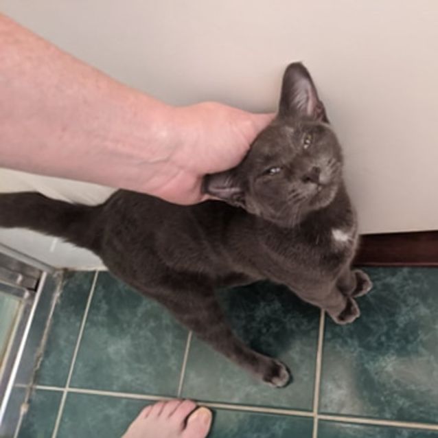 Photo of Hugo