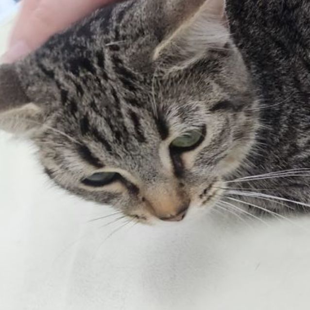 Photo of Carol🤶🎼