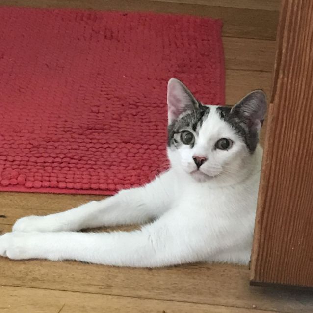 Photo of Sebastian