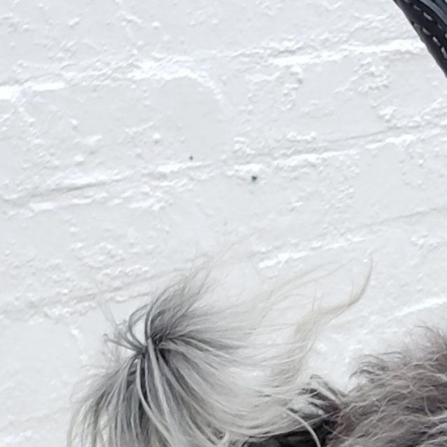 Photo of Fido