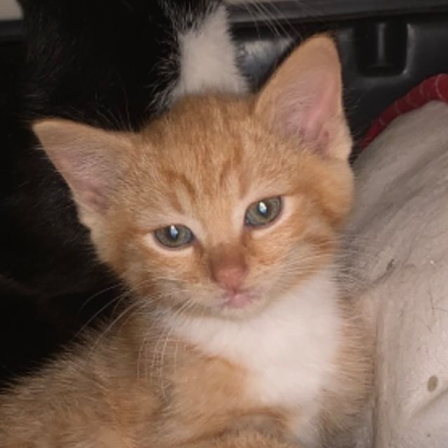 Photo of Lucian 