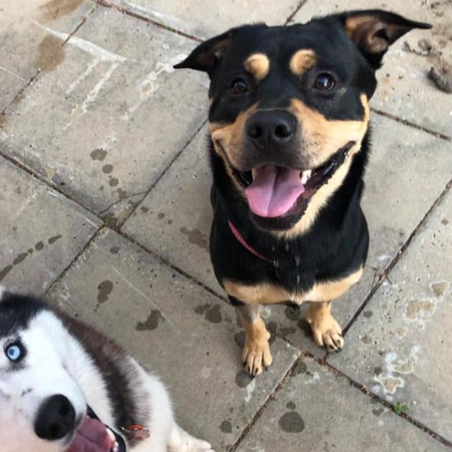 Photo of Chayse Db551