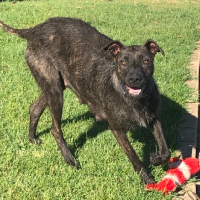 Photo of Bonnie
