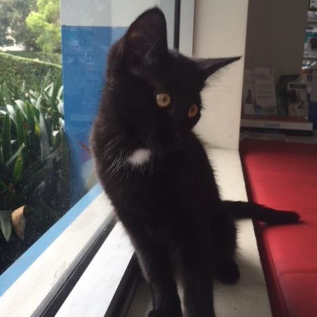 Photo of Dark Knight