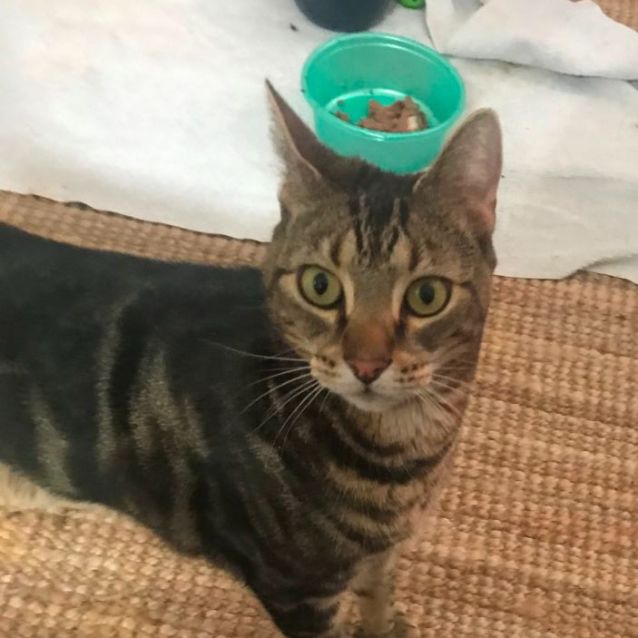 Photo of Frankie
