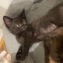 Photo of Curro