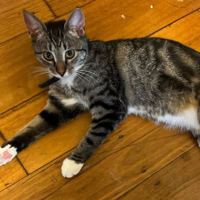 Photo of Phoenix