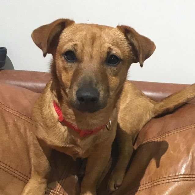 Photo of Jessie