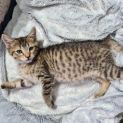 Photo of Pablo