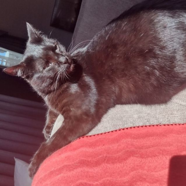 Photo of Norman & Oslo