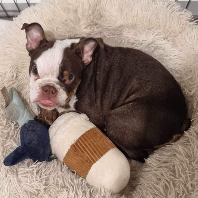 Photo of Maisee Moo