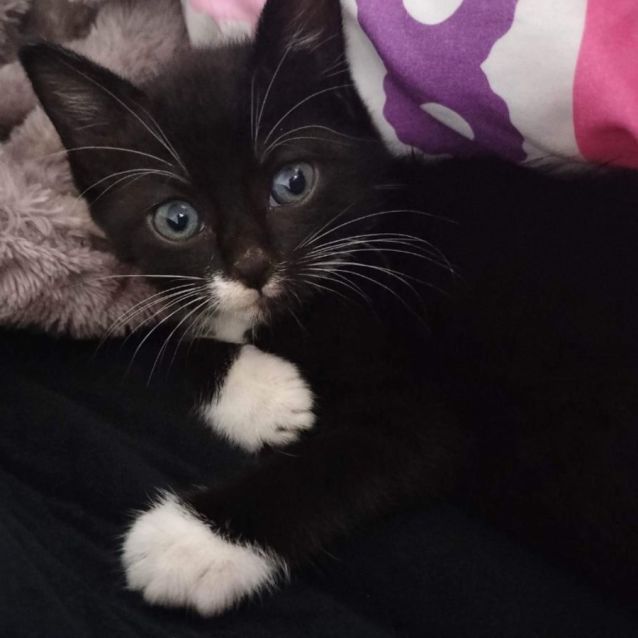 Photo of Lizzie