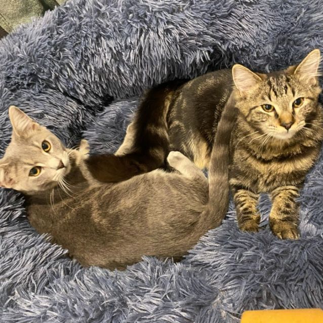 Photo of Junior & Blossom 💙🌸