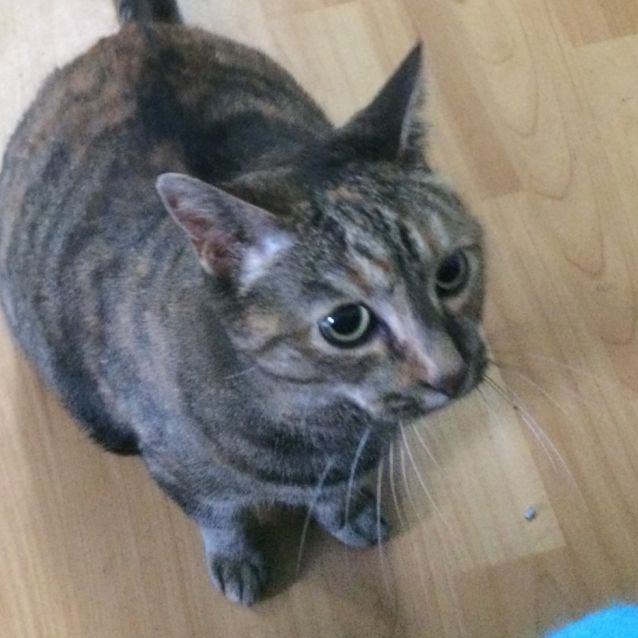 Photo of Lucy   Located In Ferntree Gully