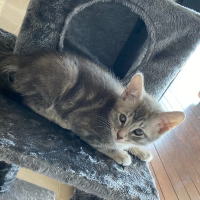 Photo of Storm