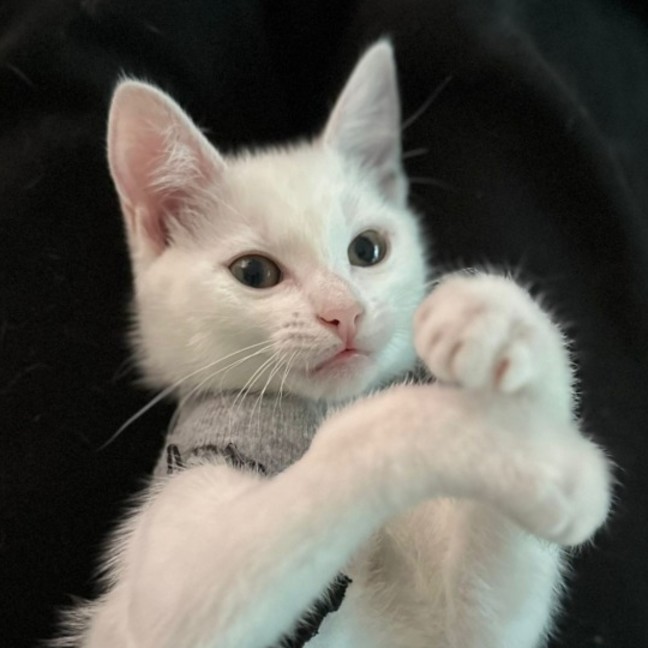 Photo of Candy