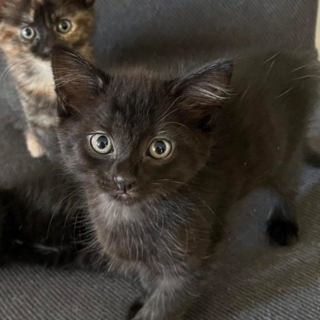 Photo of 💚 George 💚